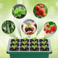 💎50% RABATT! 💎 Groningsbrickor med odlingsljus – Fuktighetskontroll, transparent och fullspektrumljus 🌱💡