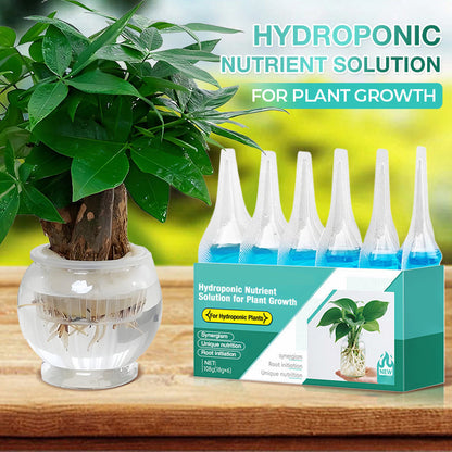 🔥Hydroponisk näringslösning för växttillväxt